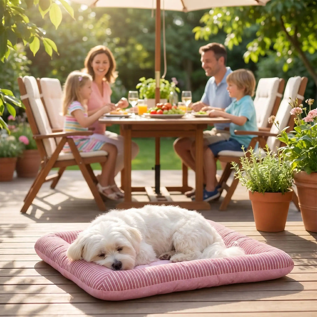 Tapis pour chien rafraichissant - CoussinToutou™