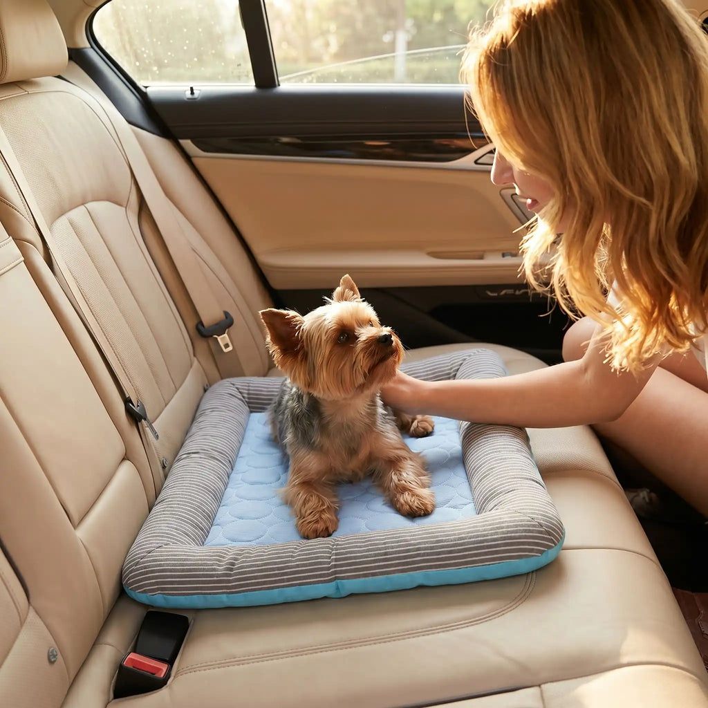 Tapis pour chien rafraichissant - CoussinToutou™