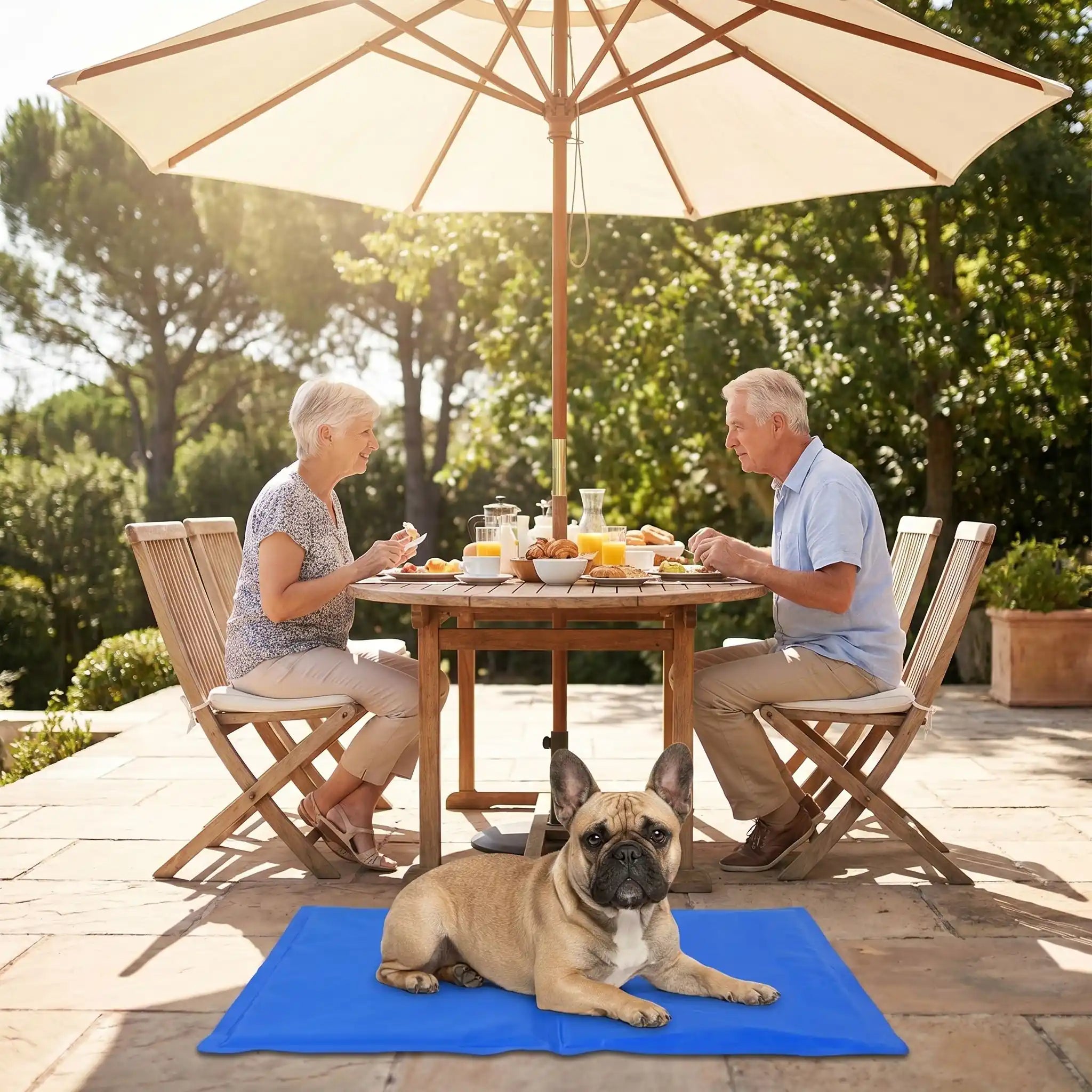 Tapis pour chien rafraichissant - GelToutou™