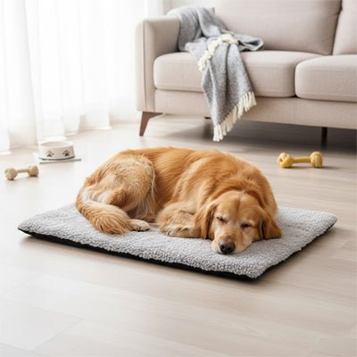 Tapis pour chien xxl - ChauffantToutou™
