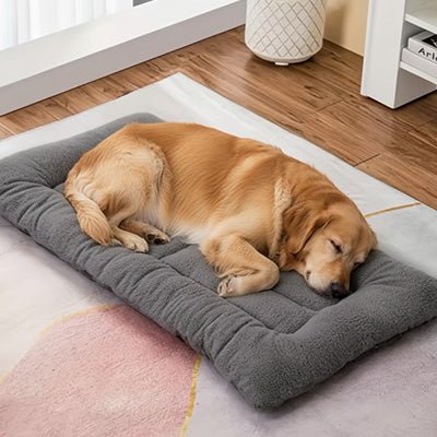 Tapis pour chien - XXLToutou™