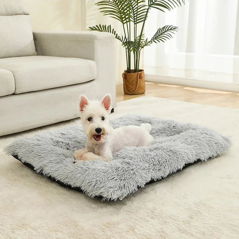 Tapis pour chiens - DouilletToutou™