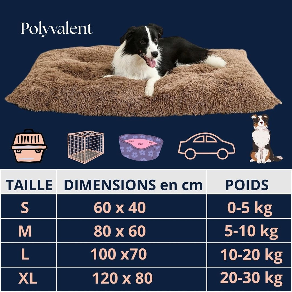 Tapis pour chiens - DouilletToutou™