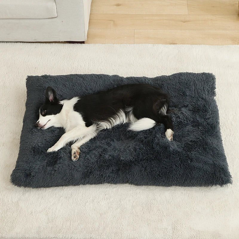 Tapis pour chiens - DouilletToutou™