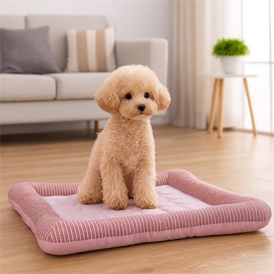 Tapis rafraichissant Chien - CoussinToutou™