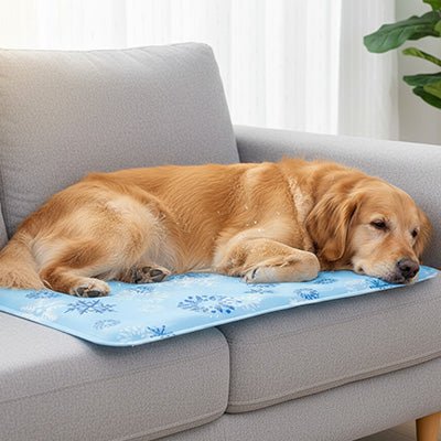 Tapis rafraichissant chien - CoolToutou™