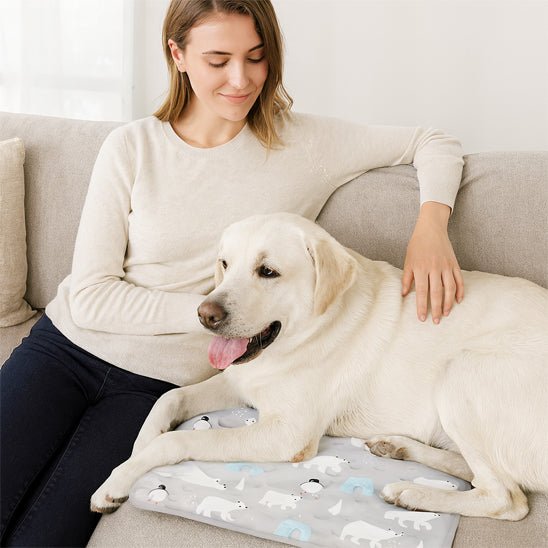 Tapis rafraichissant pour chien - GelToutou™