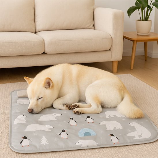 Tapis rafraichissant pour chien - GelToutou™