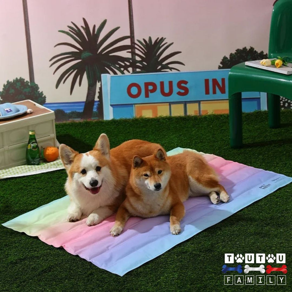 Tapis rafraichissant chien -GelToutou™