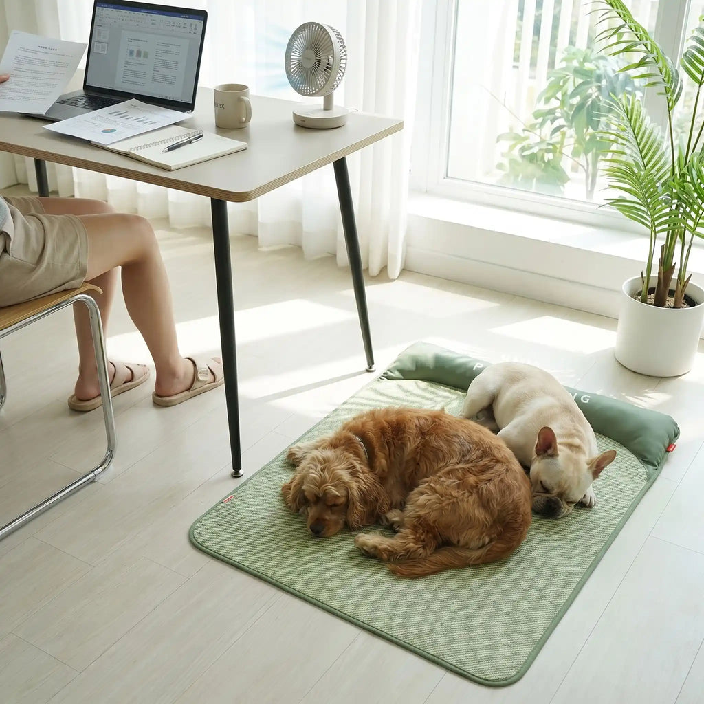 Tapis rafraichissant chien - LitToutou™