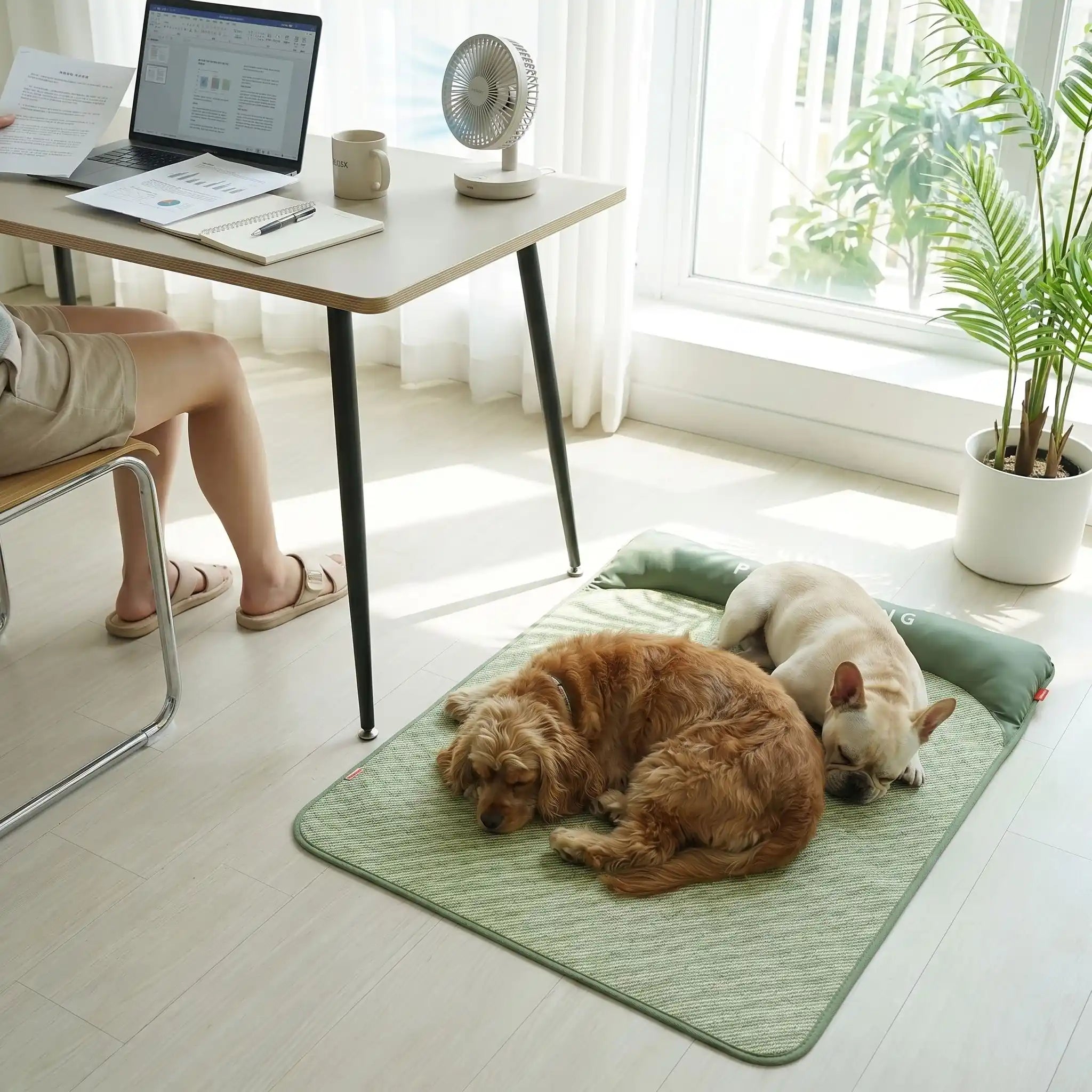 Tapis rafraichissant chien - LitToutou™