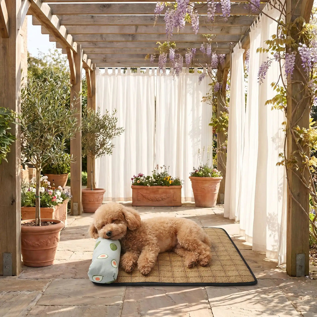 Tapis rafraichissant chien - PetitToutou™