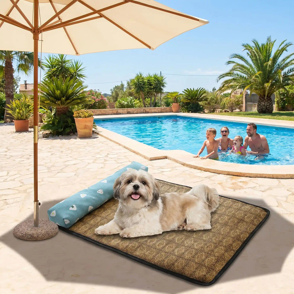 Tapis rafraichissant chien - PetitToutou™