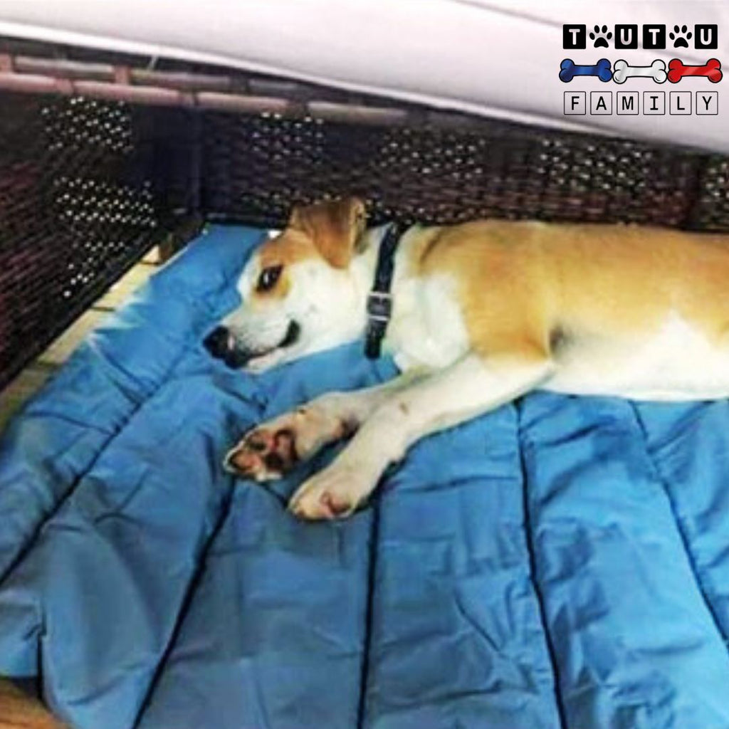 Tapis xxl pour chien - VoyageToutou™