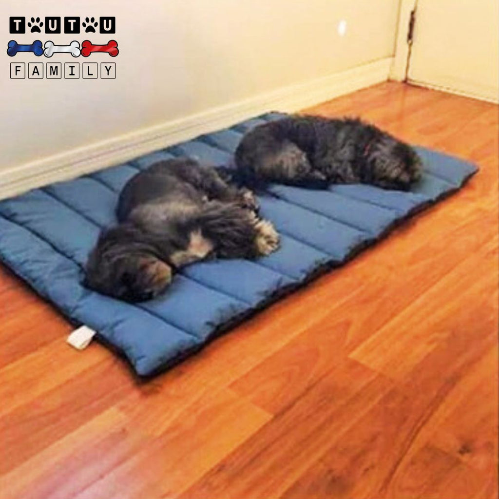 Tapis xxl pour chien - VoyageToutou™