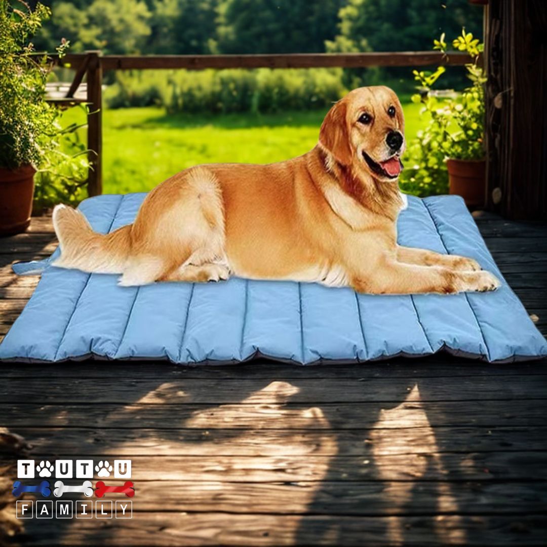 Tapis xxl pour chien - VoyageToutou™