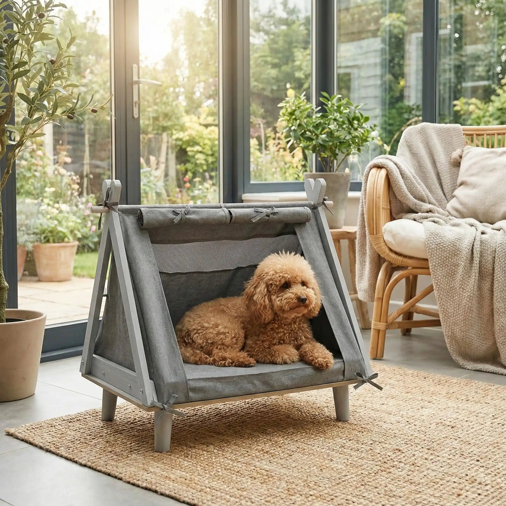 Tente pour chien - SurélevéToutou™