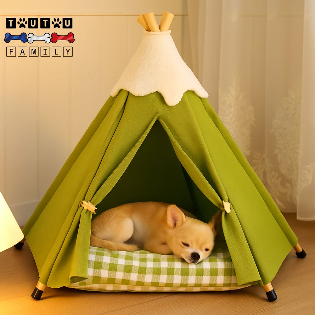 Tipi-pour-chien-chiot-design-un chiot qui dort en boule paisiblement dans son tipi avec son coussin avec housse à carreaux lavable en machine 