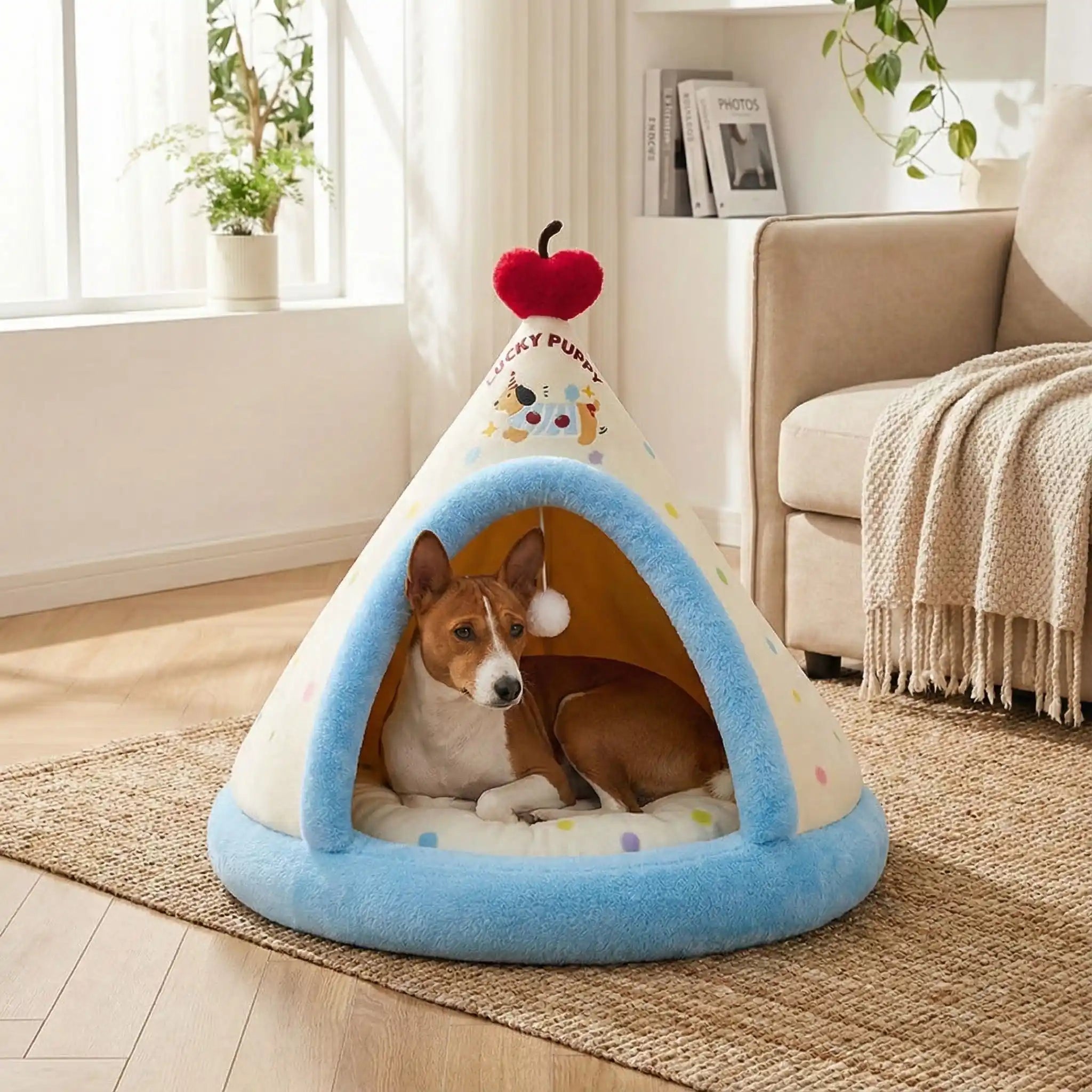 Tipi pour chien - DouilletToutou™