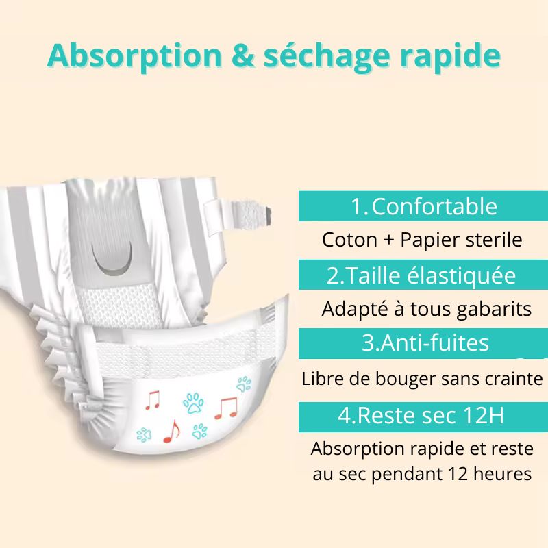 Couches Jetables pour Chien (10 Pcs)