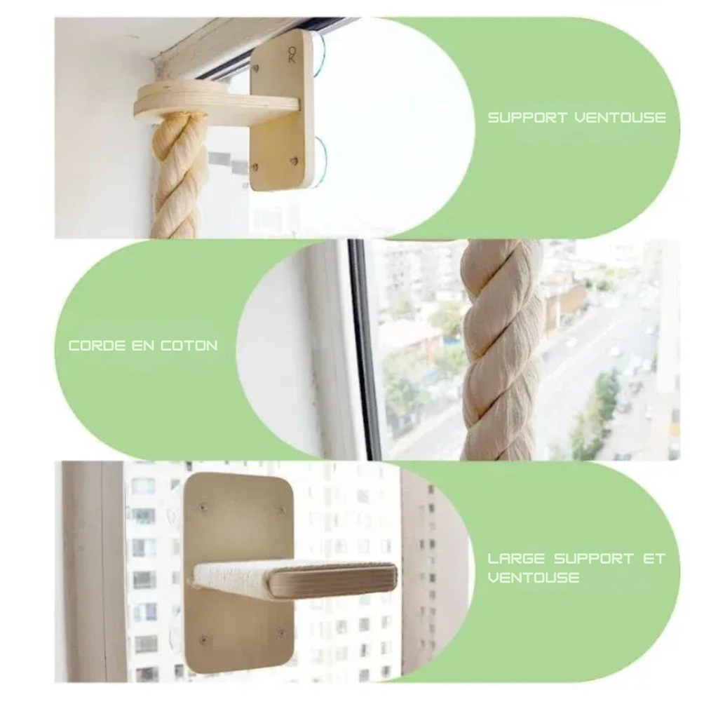 Accessoire Escalade Pour Chat Design Et Robuste