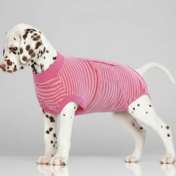 T-Shirt Post Opératoire Confort Pour Chien