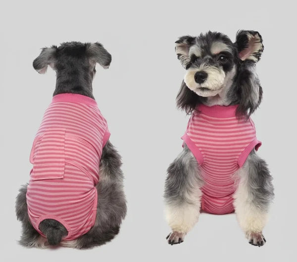 T-Shirt Post Opératoire Confort Pour Chien