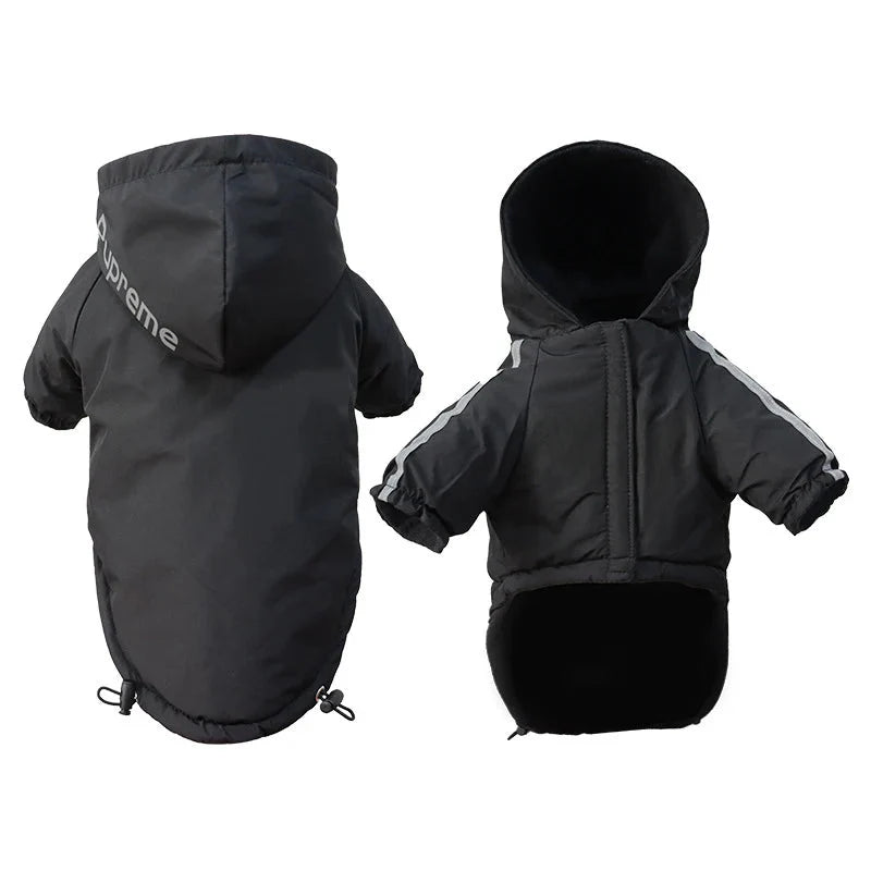 Anorak Chien Petit et Moyen