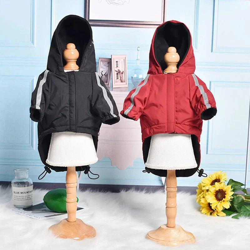 Anorak Chien Petit et Moyen