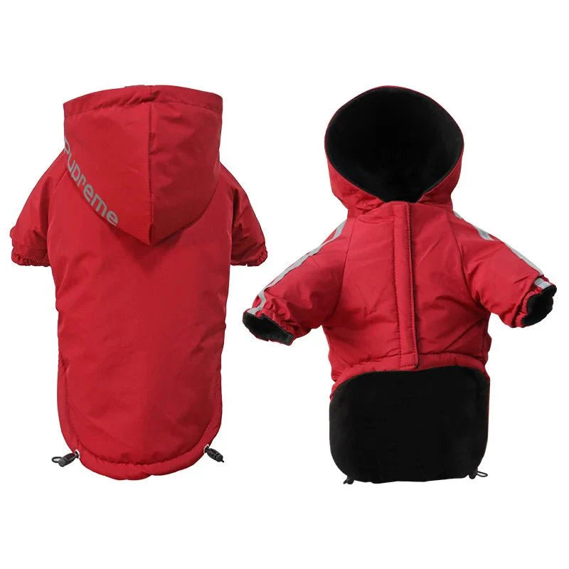 anorak chien rouge