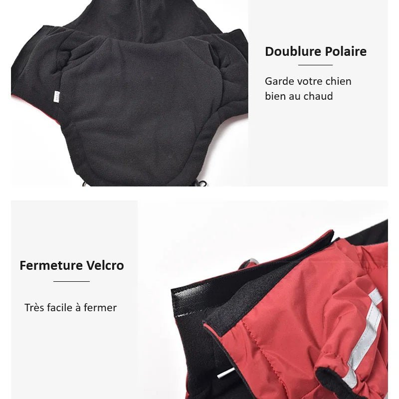 Anorak Chien Petit et Moyen