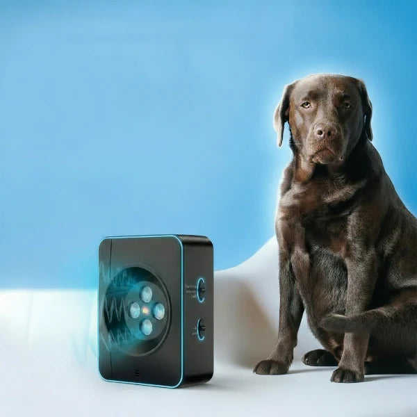 Boîtier anti-aboiement ultrason pour chien | Efficace