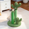 Arbre à chat cactus naturel