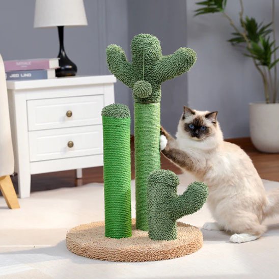Arbre à chat cactus original