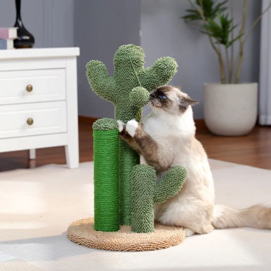 Griffoir pour chat Cactus