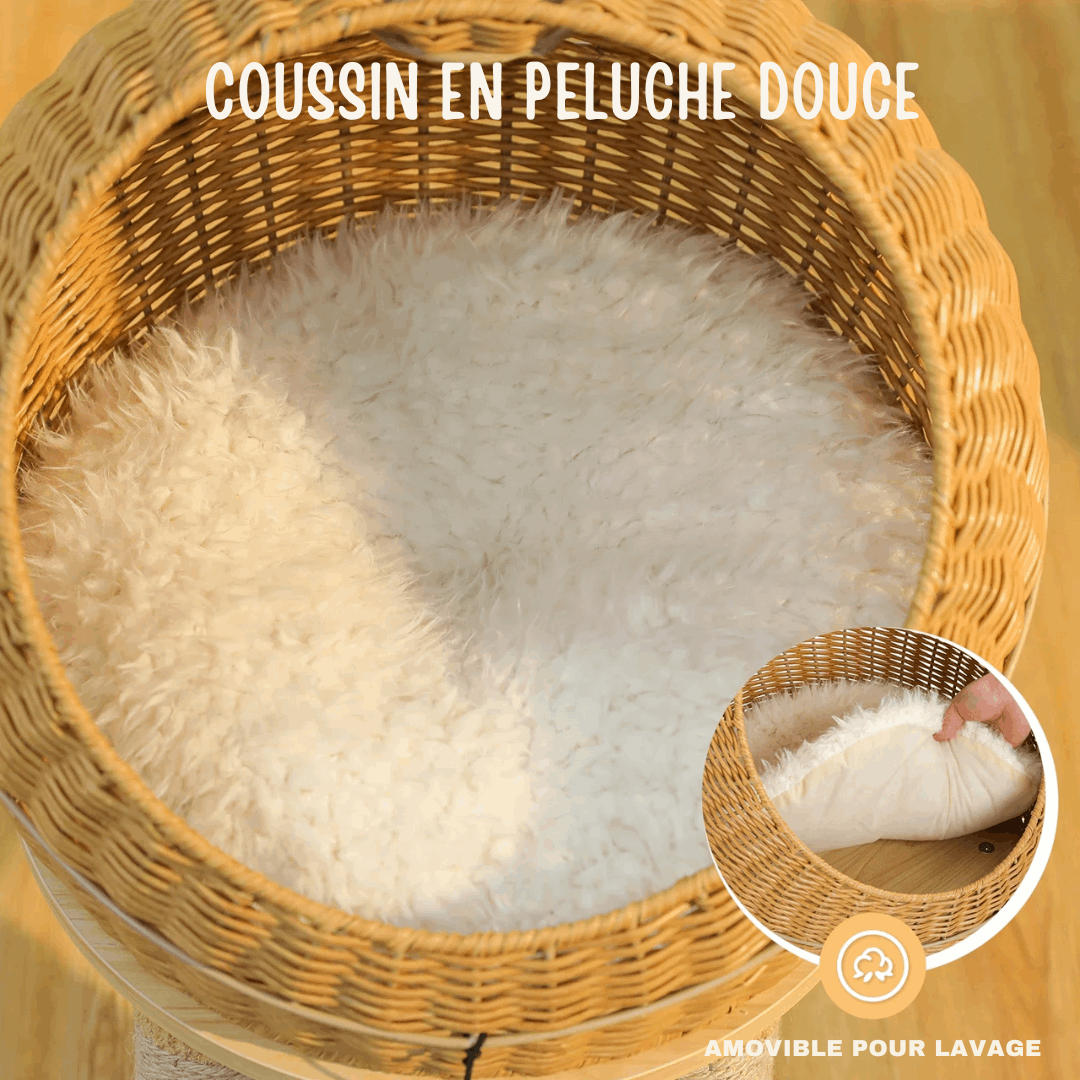 Arbre À Chat Dinosaure En Sisal Et Rotin