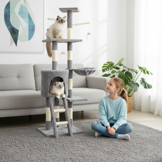 ARBRE A CHAT | L’Explorateur Vertical