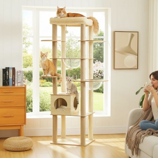 ARBRE A CHAT EN BOIS | L’Explorateur Bois