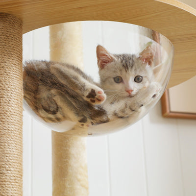 ARBRE A CHAT EN BOIS | L’Explorateur Bois