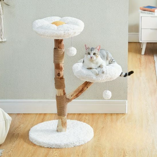 ARBRE A CHAT FLEURS | La Grimpette Florale