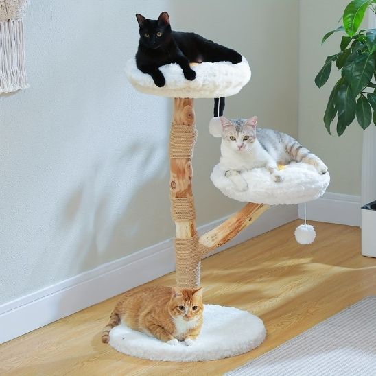 ARBRE A CHAT FLEURS | La Grimpette Florale