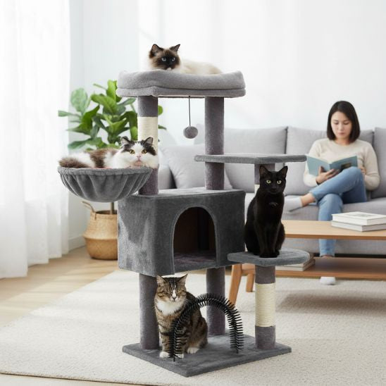 ARBRE A CHAT GRAND | Le Mont Ronron