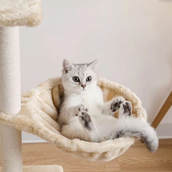 hamac pour chat arbre à chat