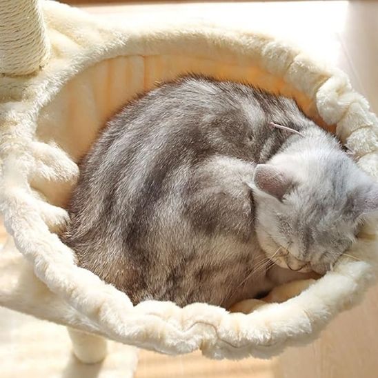 ARBRE A CHAT HAMAC | Confort Ultra-Doux
