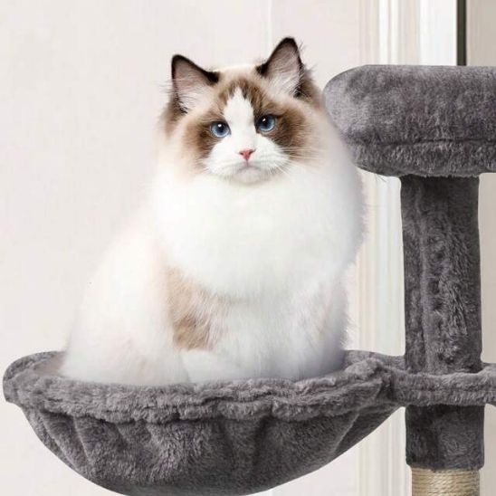 arbre a chat hamac idéal