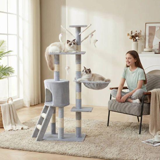 ARBRE A CHAT | L’Explorateur Vertical