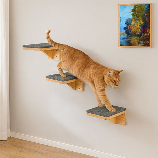 arbre a chat mural escalier bois