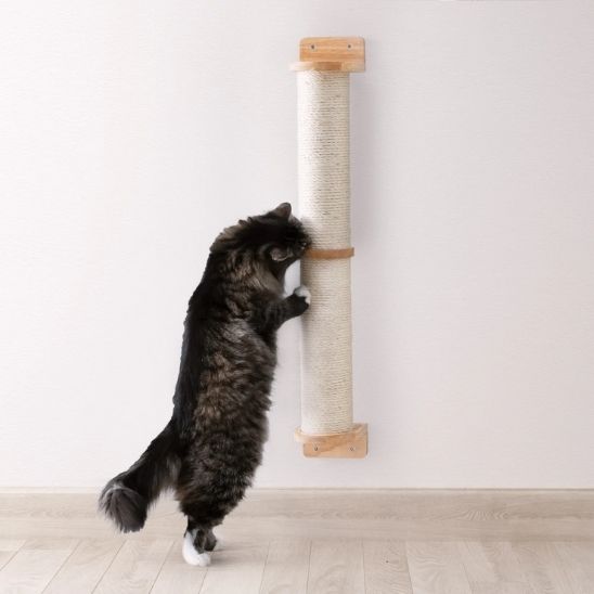 Arbre à chat mural | Sisal protecteur