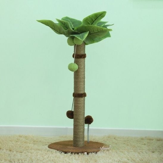arbre a chat palmier brun