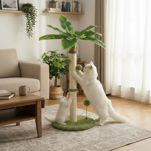 ARBRE A CHAT | Aventure Cocotier